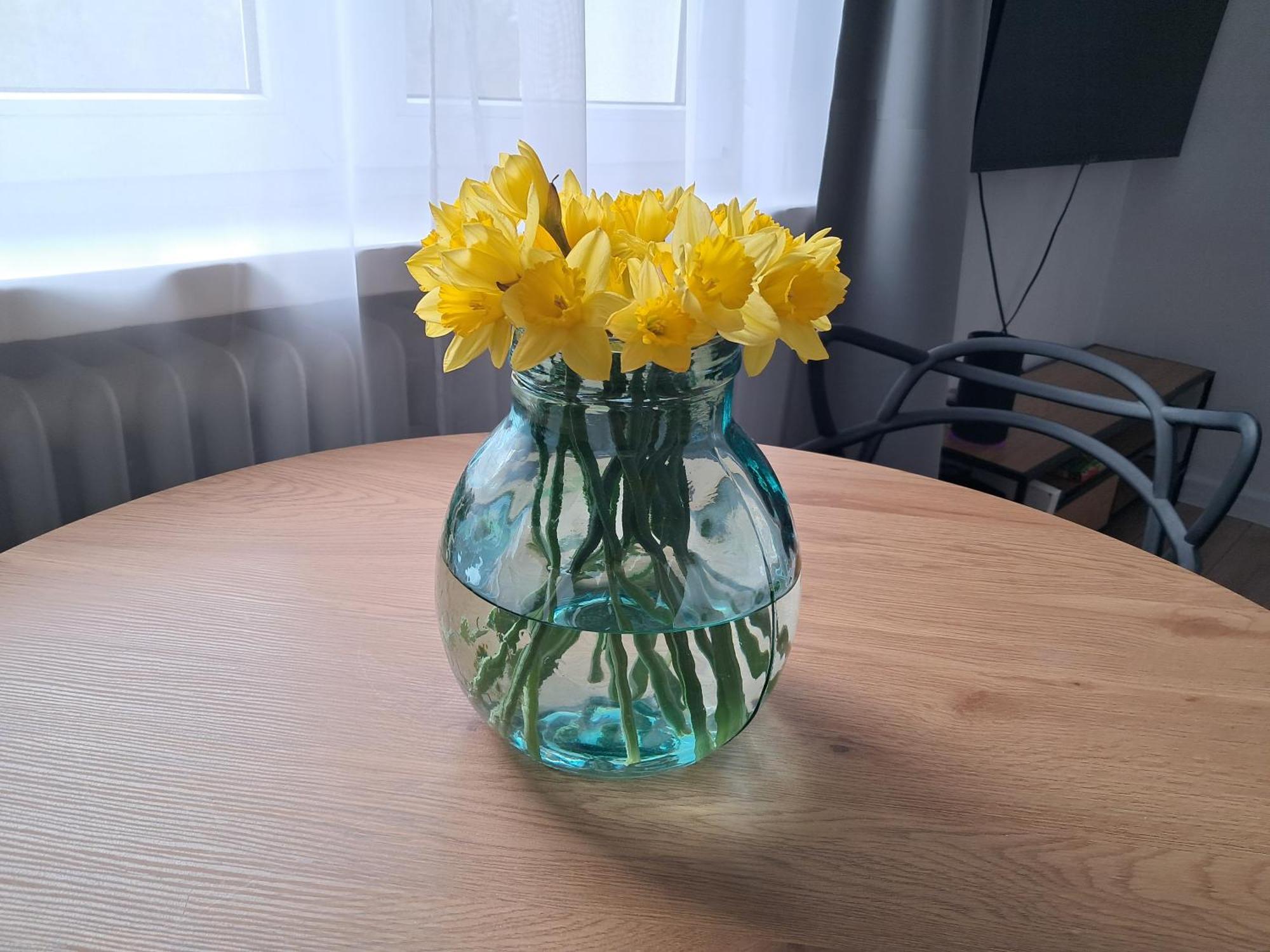 Apartament Aleja 29 Listopada Krakow Ngoại thất bức ảnh